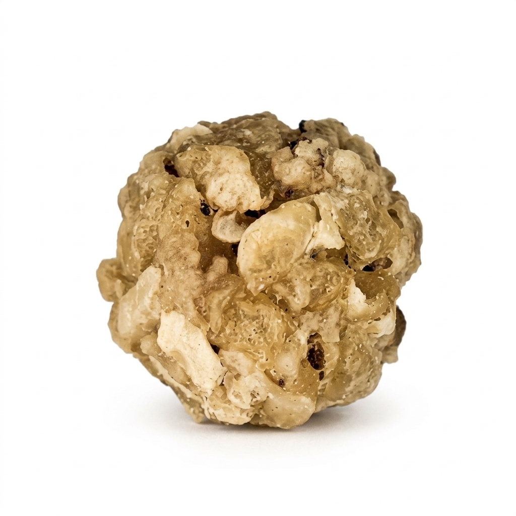BOLITA NATURAL CON PULMON